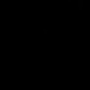 Meet your Posher, Unicorn